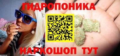 молекула духа Усть-Илимск