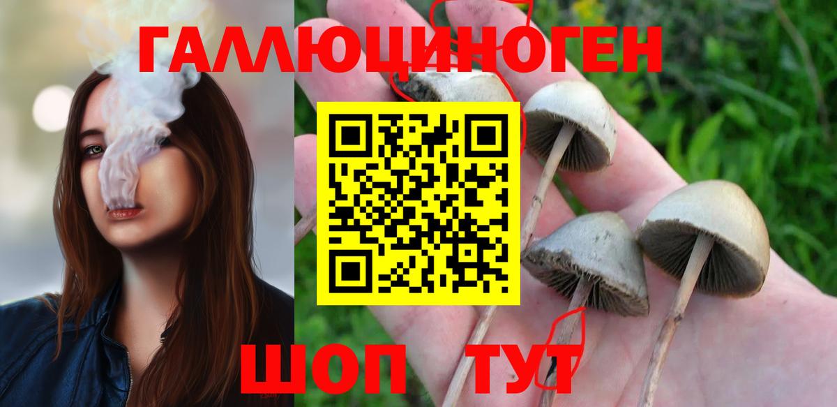 Галлюциногенные грибы мицелий  Вход с VPN  Нижний Новгород 